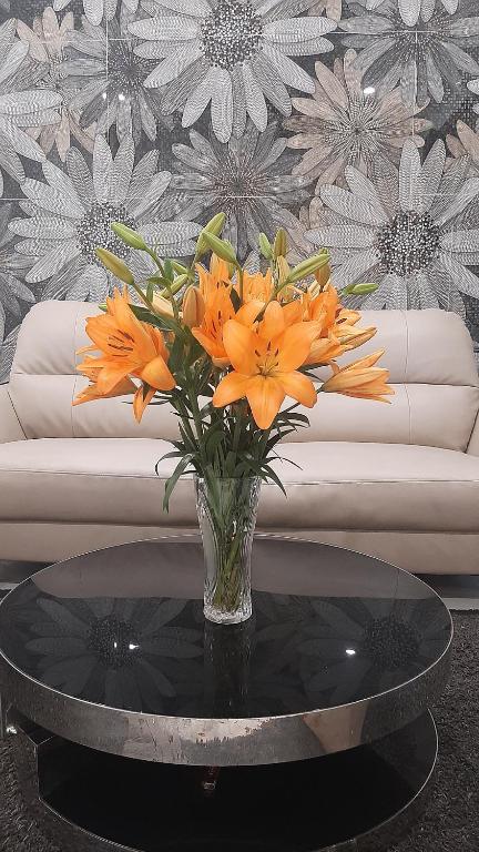 Homestay-kim mã -giang văn minh – Hanoi